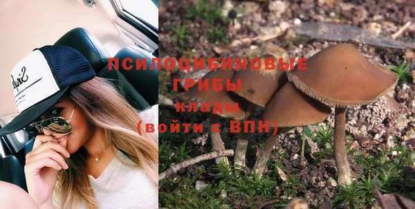 амф Михайловск