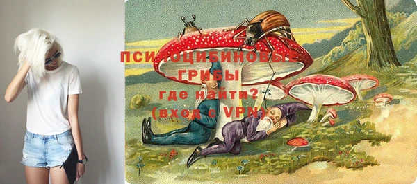 прущий лед Михайлов
