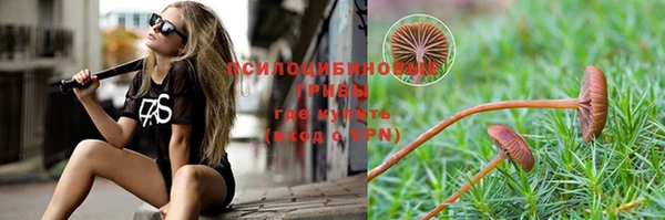 мяу мяу мука Михайловка