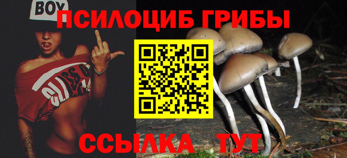 A PVP  Гашик  NBOMe  Меф  Зерноград  Кокаин  Вход с VPN  Конопля 