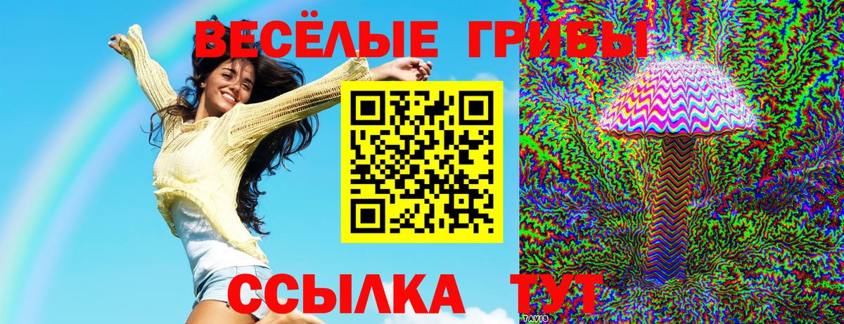 Галлюциногенные грибы прущие грибы  Вход с VPN  Галлюциногенные грибы MAGIC MUSHROOMS  Зерноград 